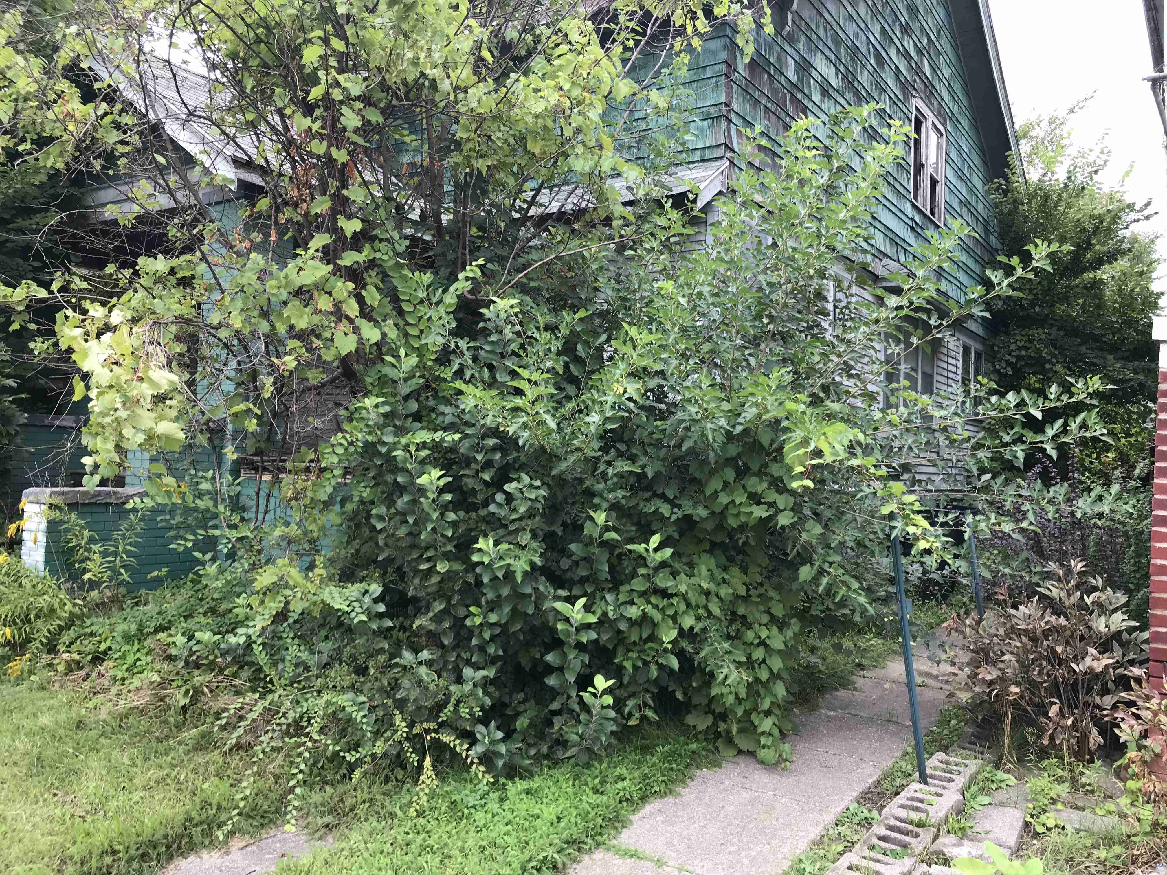 Photo Sep 10, 1 04 13 PM.jpg